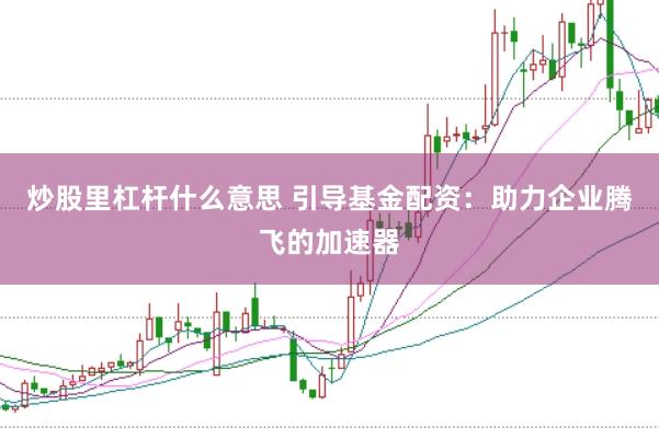 炒股里杠杆什么意思 引导基金配资：助力企业腾飞的加速器
