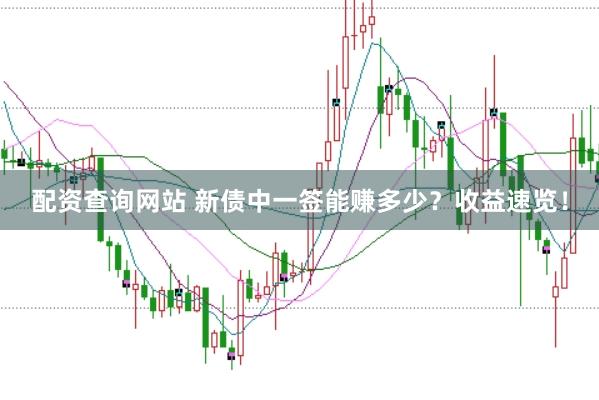 配资查询网站 新债中一签能赚多少？收益速览！