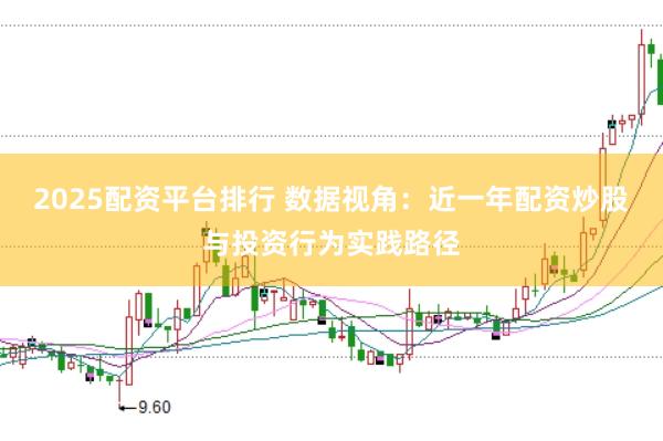 2025配资平台排行 数据视角:近一年配资炒股与投资行为实践路径