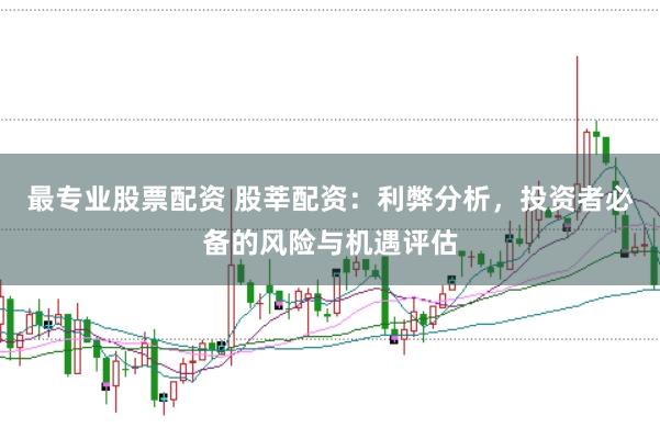 最专业股票配资 股莘配资：利弊分析，投资者必备的风险与机遇评估