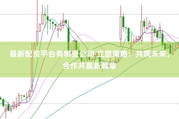 最新配资平台有哪些公司 立盟策略：共筑未来，合作共赢新篇章