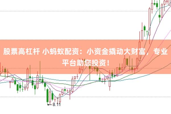 股票高杠杆 小蚂蚁配资：小资金撬动大财富，专业平台助您投资！