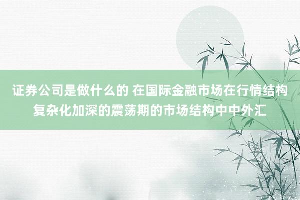 证券公司是做什么的 在国际金融市场在行情结构复杂化加深的震荡期的市场结构中中外汇