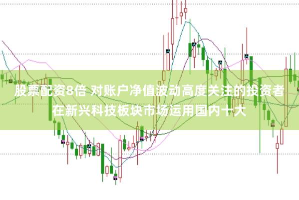 股票配资8倍 对账户净值波动高度关注的投资者在新兴科技板块市场运用国内十大