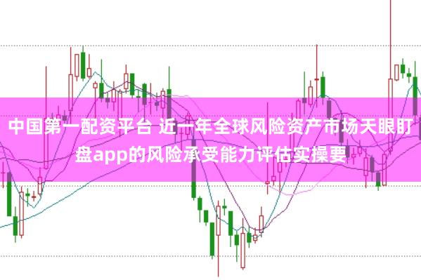 中国第一配资平台 近一年全球风险资产市场天眼盯盘app的风险承受能力评估实操要