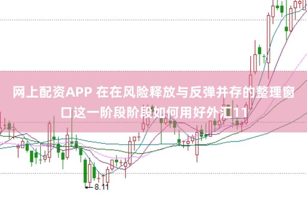 网上配资APP 在在风险释放与反弹并存的整理窗口这一阶段阶段如何用好外汇11
