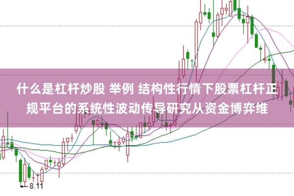 什么是杠杆炒股 举例 结构性行情下股票杠杆正规平台的系统性波动传导研究从资金博弈维
