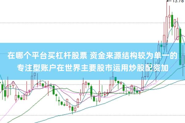 在哪个平台买杠杆股票 资金来源结构较为单一的专注型账户在世界主要股市运用炒股配资加