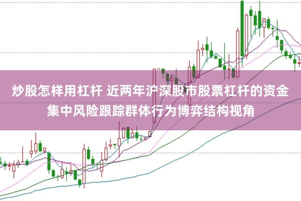 炒股怎样用杠杆 近两年沪深股市股票杠杆的资金集中风险跟踪群体行为博弈结构视角
