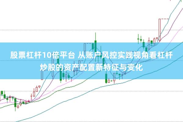 股票杠杆10倍平台 从账户风控实践视角看杠杆炒股的资产配置新特征与变化