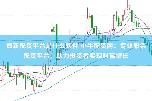 最新配资平台是什么软件 小牛配资网：专业股票配资平台，助力投资者实现财富增长