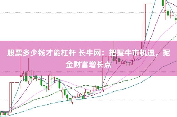 股票多少钱才能杠杆 长牛网:把握牛市机遇,掘金财富增长点