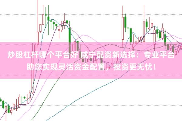 炒股杠杆哪个平台好 咸宁配资新选择：专业平台助您实现灵活资金配置，投资更无忧！