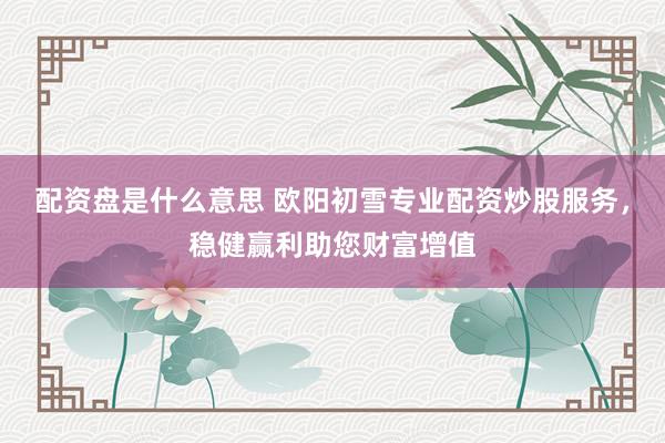 配资盘是什么意思 欧阳初雪专业配资炒股服务，稳健赢利助您财富增值
