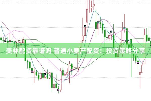 美林配资靠谱吗 普通小麦产配资:投资策略分享