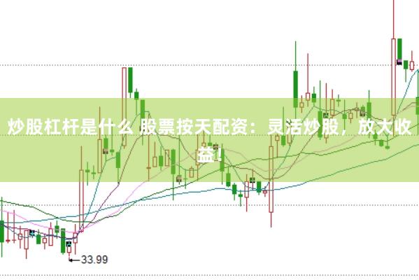 炒股杠杆是什么 股票按天配资：灵活炒股，放大收益！
